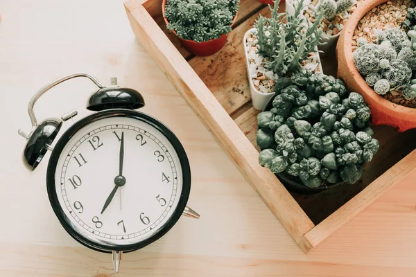 Vista dall'alto. orologio e impianto posto su fondo ligneo con copia — Foto Stock