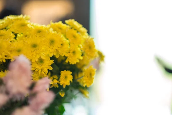 Fira Alla hjärtans dag bakgrund vackra färgglada blommor — Stockfoto