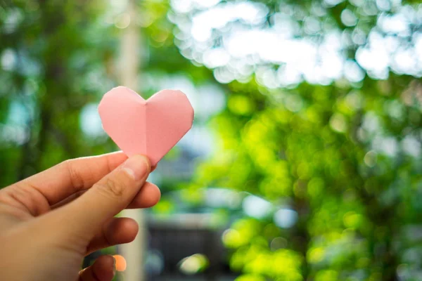 Mano de mujer joven con el fondo de la naturaleza de corazón rosa. imagen para — Foto de Stock