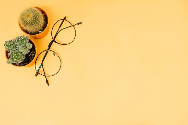 Top view business table background with glasses and cactus in po — Stock Photo, Image