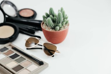 izole kozmetik nesne, gözlük ve beyaz güzel kaktüs 