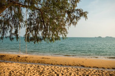 Sahildeki arka plan ağaçların altında sallanıyor. Güzel bir denizi var.