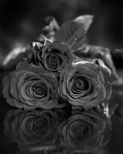 バラ、白と黒の花束. — ストック写真