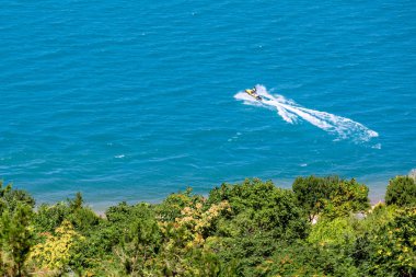 Hydrocycle ağaçları ile yeşil ve kıyı mavi su sürmek. 