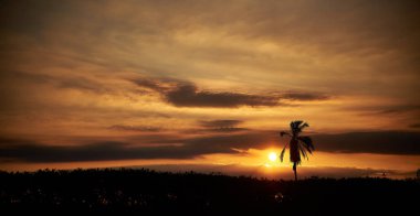 Hoşça kal hoşça kal güneşli çocuk