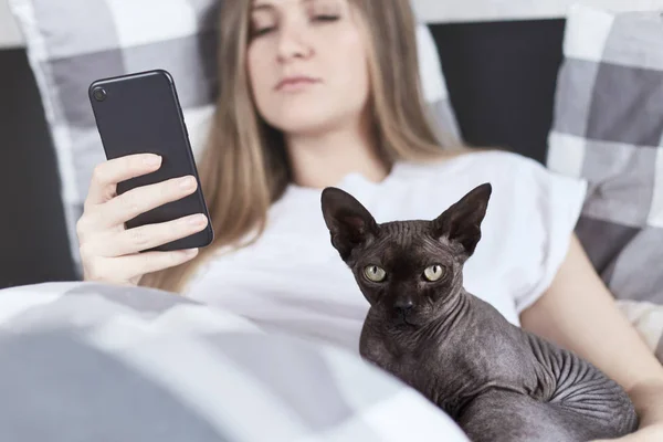Портрет кошки-сфинкса смотрит вперед на камеру, а молодая женщина сзади со смартфоном смс-кой в постели дома. Технология, питы, коммуникация и концепция людей . — стоковое фото