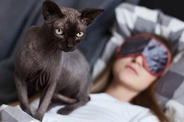Stör inte. Ung dam sover i sin dåliga bär eye mask. Hennes katt Sfinxen är på hennes bröst som är redo att attackera alla som kommer närmare. Fokusera på katt. Människors och djurs koncept. — Stockfoto