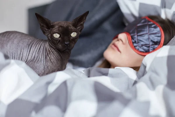 Сосредоточьтесь на кошке-сфинксе, которая с нетерпением ждет отдыха молодой женщины. Она носит маску для сна, скрывающуюся от дневного света. Комфорт, отдых, досуг . — стоковое фото