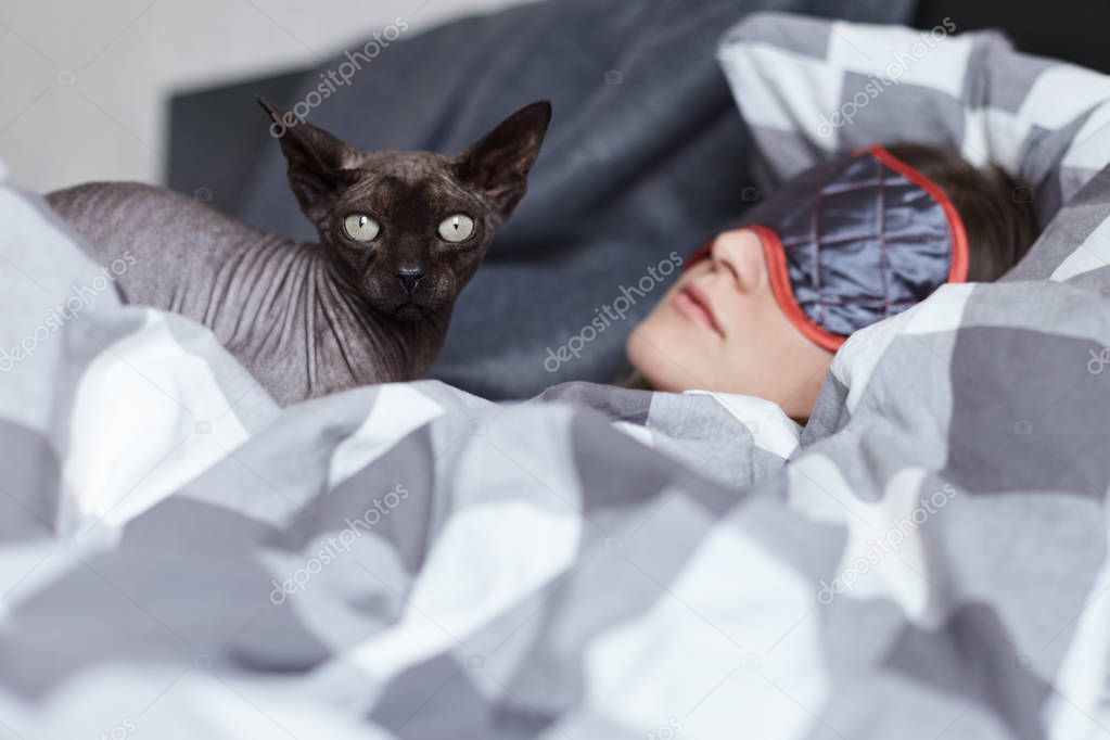The unique bodyguard. Oriental cat is on guard taking care of young lady who is sleeping until midday after great party last night. Not to be disturbed by the light she is wearing eye mask. Youth concept.