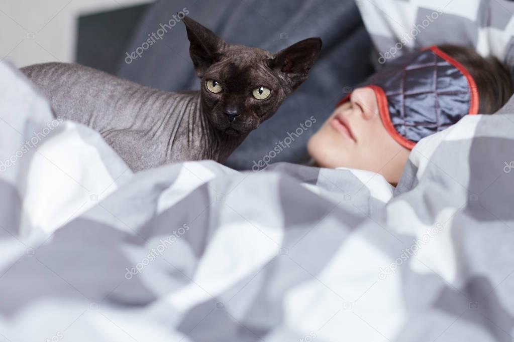 Focus on pet. Portrait of sphinx cat looking impolite sideways guarding young woman's rest during siesta, after hardworking time. Health and beauty concept.