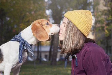 Sarı şapka ve beagle köpek yavrusu genç Kafkas kadın portresi burun burun. Bayan ve evde beslenen hayvan iyi sonbahar havanın tadını açık bir kadeh. Olumlu insan duyguları, yüz ifadesi, duygularını kavramı.