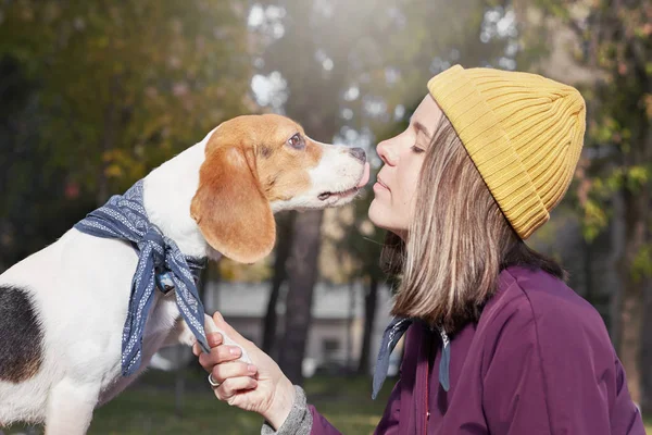 Retrato nariz a nariz de uma jovem caucasiana de chapéu amarelo e cachorro beagle. Tiro ao ar livre de senhora e animal de estimação desfrutando de bom clima de outono. Emoções humanas positivas, expressão facial, conceito de sentimentos . — Fotografia de Stock