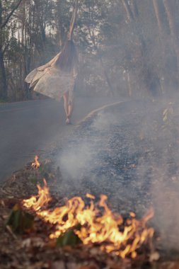Otantik dikey arkadan görünüm moda kadın uzun saçlı yalınayak orman yakma yoluyla walking away ile şık kimono giymiş. İnsan ve doğa ilişkileri kavramı hakkında benzersiz resim.