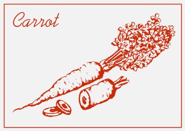 Boyalı havuç hafif bir arka plan üzerinde izole