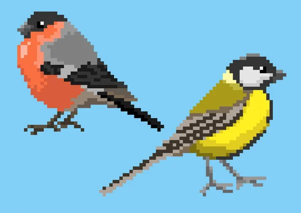 Pixelated titmouse és süvöltő — Stock Vector