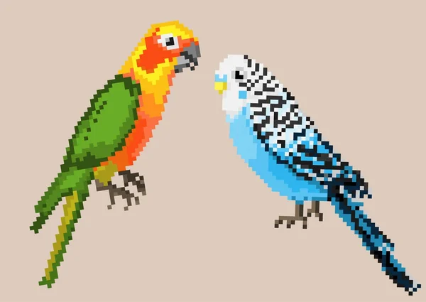 Pixel pappagalli isolati su uno sfondo . — Vettoriale Stock
