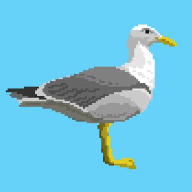 Vektör pixal martı