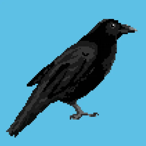 Ilustración vectorial de un cuervo — Archivo Imágenes Vectoriales