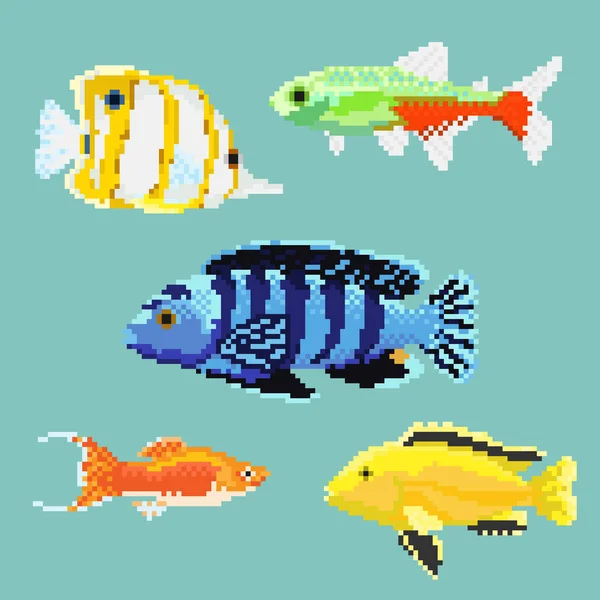 Set of pixel exotic fish — Stock Vector