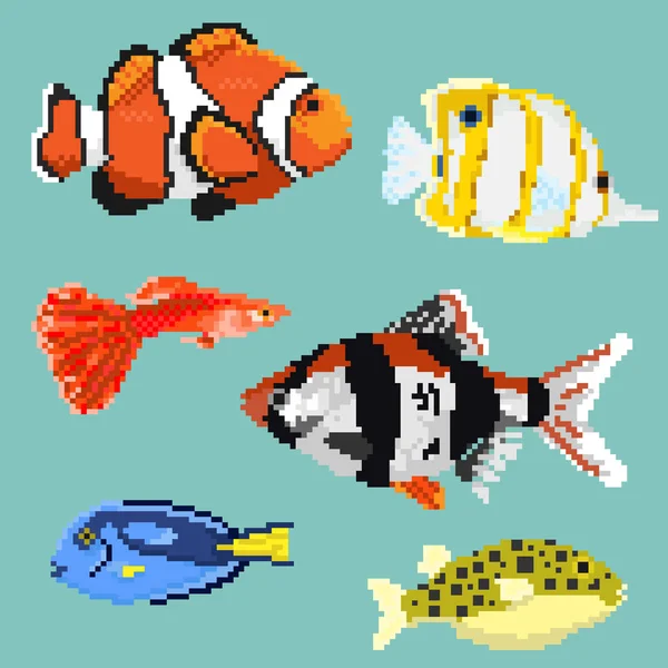 Set of pixel exotic fish — Stock Vector