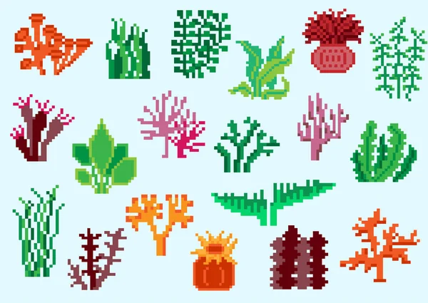 Piksel yosun kümesi