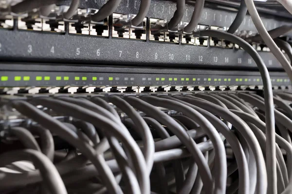 Netzwerk rj-45 Patch Panel und Schalter — Stockfoto