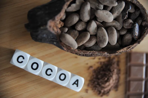 Beans of cocoa — Stock Photo, Image