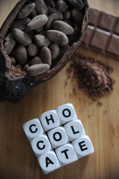 Beans of cocoa — Stock Photo, Image