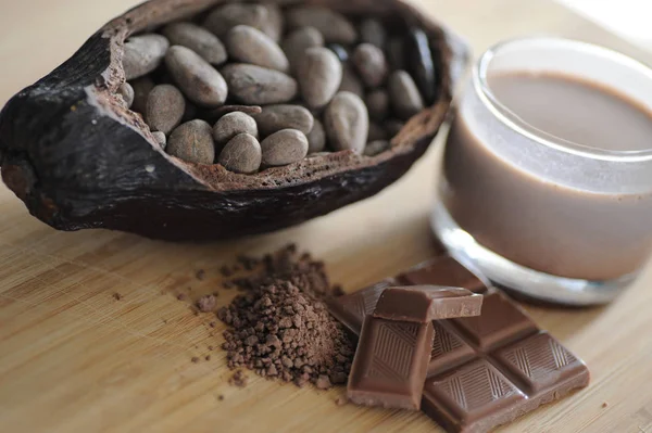 Habas de cacao — Foto de Stock