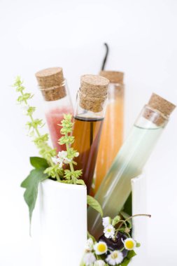 İçki için Vücut Detoks