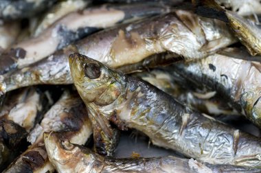 sardalya taze yapılmış