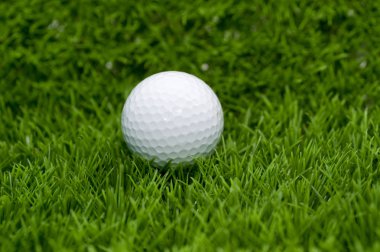 beyaz golf topu