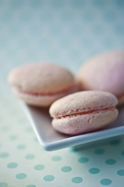 Pink french macaroons — Stock Photo, Image