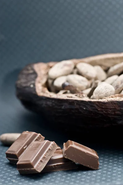 Habas de cacao — Foto de Stock