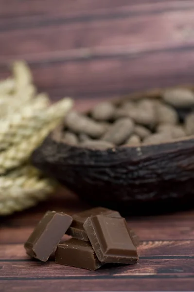 Habas de cacao — Foto de Stock