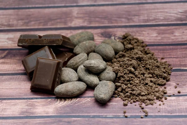 Habas de cacao — Foto de Stock