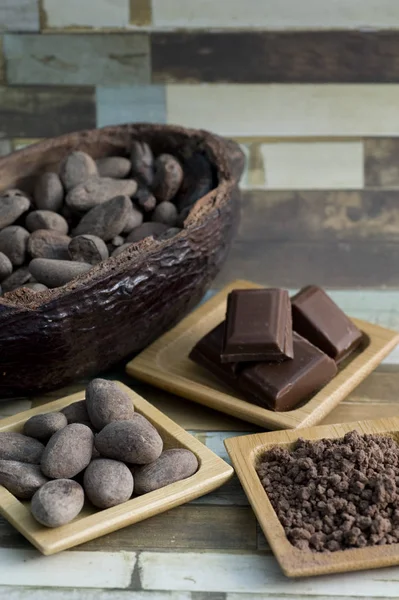 Habas de cacao — Foto de Stock