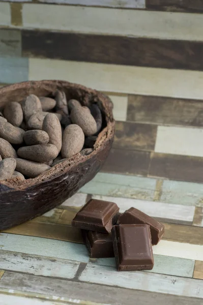 Habas de cacao — Foto de Stock