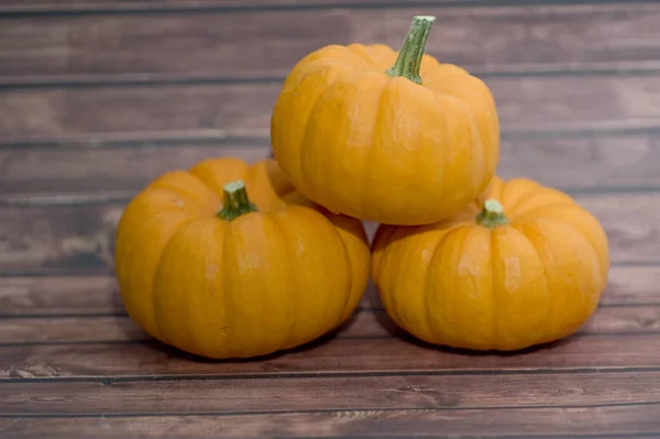 Mix of pumpkins — Stockfoto