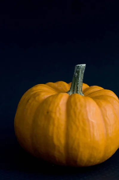 Mezcla de calabazas — Foto de Stock