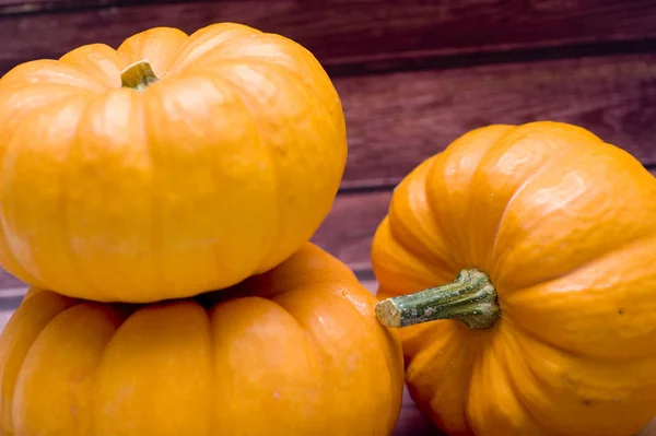 Mezcla de calabazas — Foto de Stock