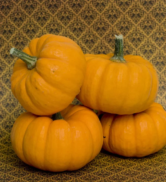 Mix of pumpkins — Stock Photo, Image