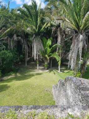 kohunlich kalıntıları