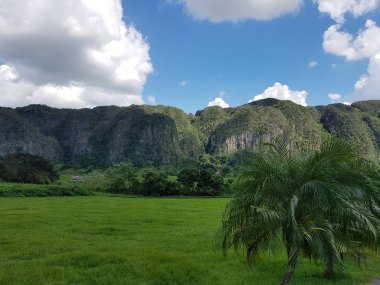 vinales kenti