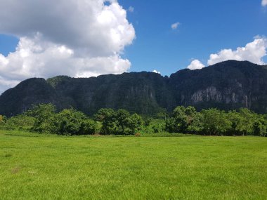 vinales kenti