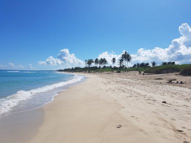 la habana beach