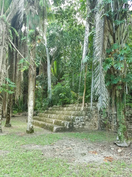 Ruinas de Kohunlich — Foto de Stock