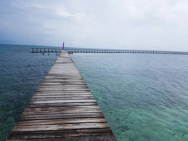 Starfish island in belize — Stock Photo, Image