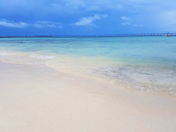 Isla de estrellas de mar en Belice — Foto de Stock