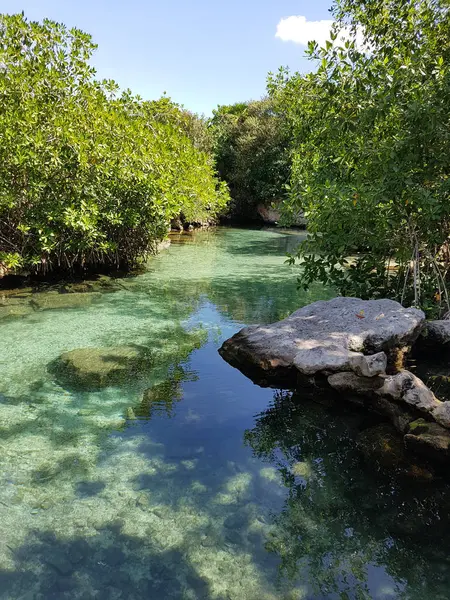 Xcaret 生态公园 — 图库照片